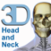 Skeletal System (Head and Neck)