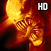 Shoot To Kill HD