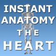 Anatomy Lectures and MCQs