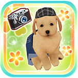 My Dog My Room 2
