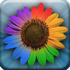 Web Albums - A Picasa Photo Viewer, Uploader and Manager