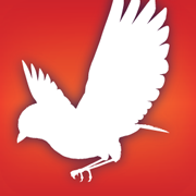 Audubon Bird Guide