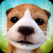 DogSimulator