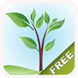 Relaxing Nature Scenes Free (helps to relax, meditate, sleep and yoga)