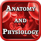 Anatomy & Physiology I and II