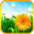 Nature Music (helps to relax, meditate, sleep, yoga and SPA)