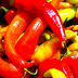 Mexican Cuisine HD