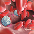 Miniatlas Hematology