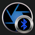 BlueCam