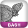 bash Cookbook