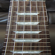 Electric Guitar Fretboard Addict FREE