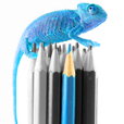 Color