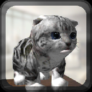 Cat Simulator