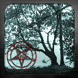The Woods
