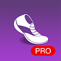 Pedometer