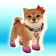 My Dog My Style