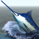 i Fishing Saltwater Edition