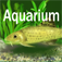 FreshWater