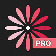 WomanLog Pro Calendar