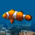 Marine Aquarium 2.6
