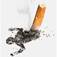 Anti-Smoking