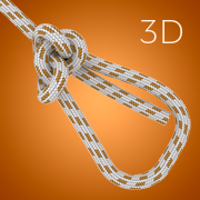 Animated 3D Knots
