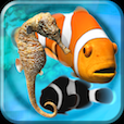 Fish Farm