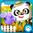 Dr. Panda's Veggie Garden