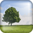 Our Climate