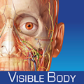 Human Anatomy Atlas SP – Free 3D Anatomical Models of the Human Skeleton and Physiology Animations